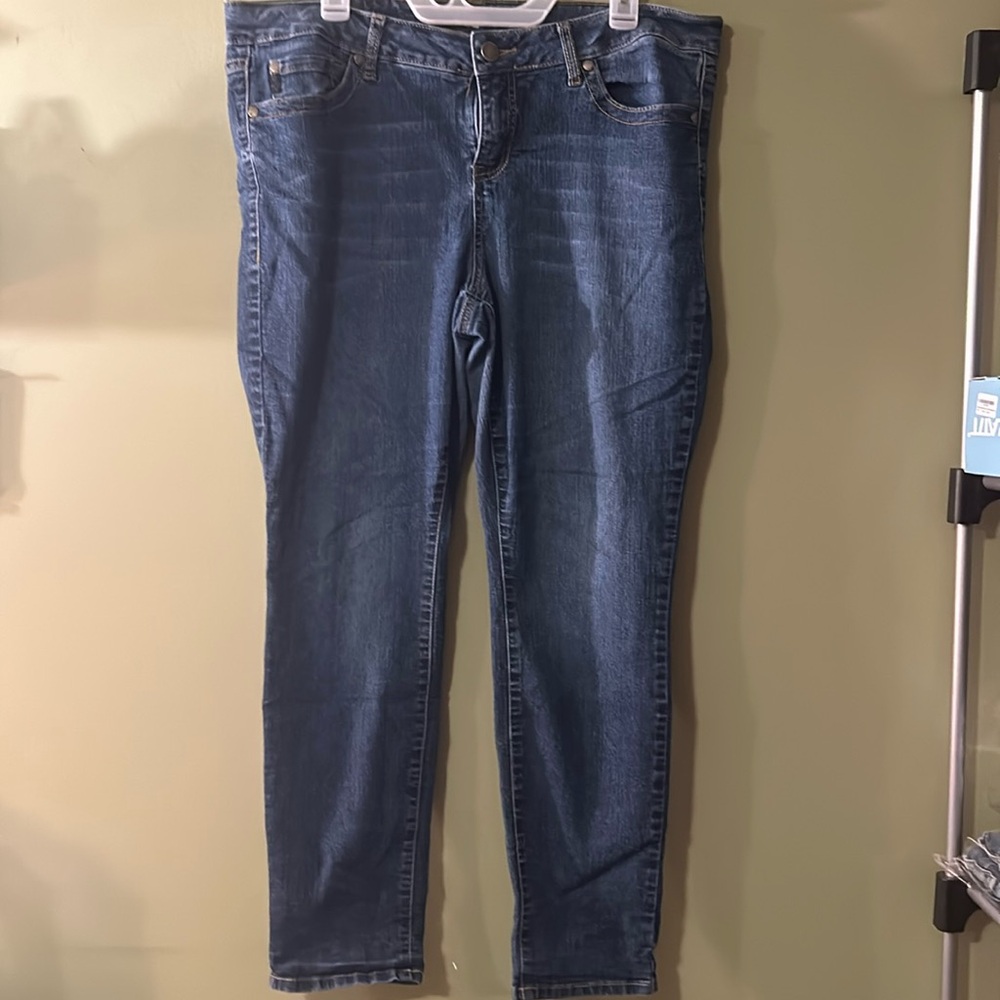 Torrid Jeans